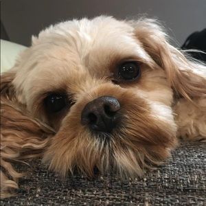 Meet your Posher, Mcclain